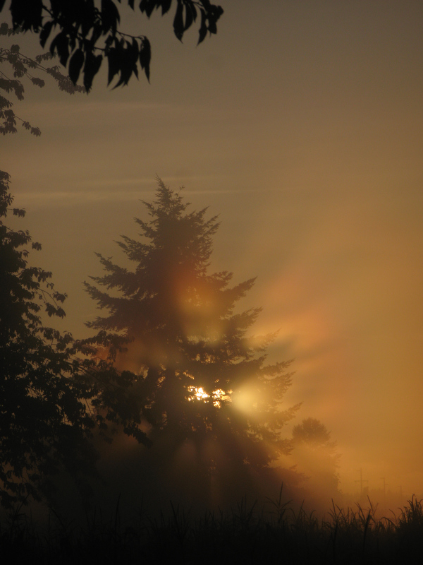 sunrise